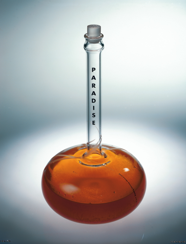 Paradise Honey Packaging